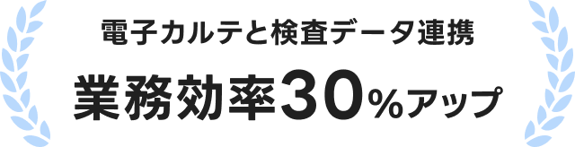 電子カルテと検査データ連携 業務効率30%アップ